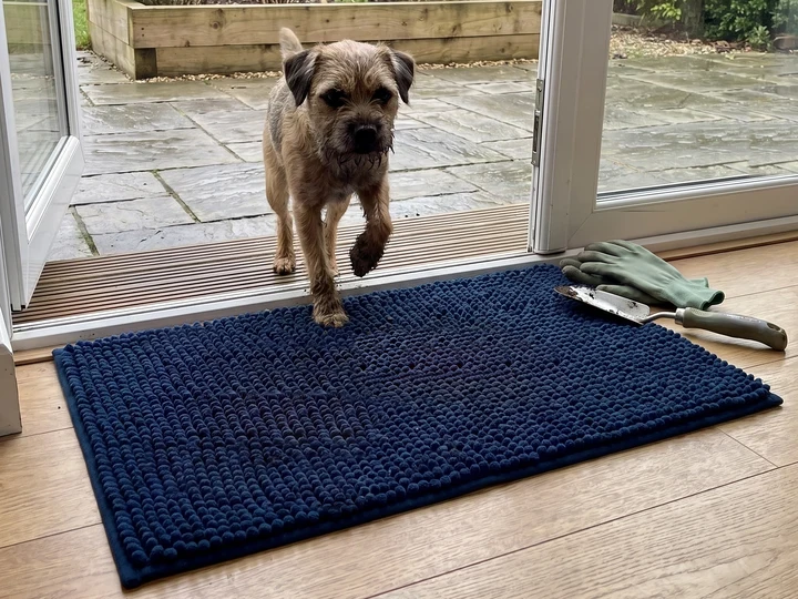 A border terrier trots in from a stone patio onto a navy Muddy Mat lying flat inside the door, with garden gloves beside it.