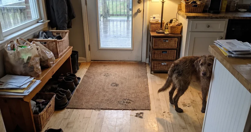 A thin flat doormat inside a back door with muddy paw prints across it and on to the wood floor, where a wet dog looks back from the kitchen island